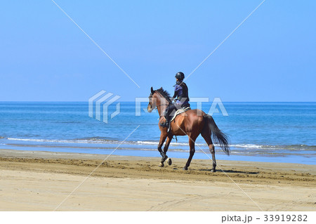 砂浜を歩く馬 33919282