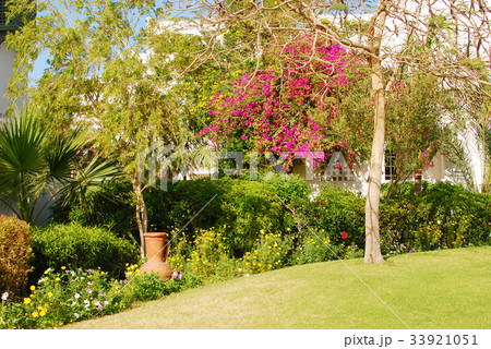 garden garden 33921051