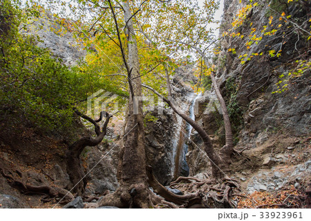 A view of a small waterfall in troodos mountains A view of a small waterfall in troodos mountains 33923961