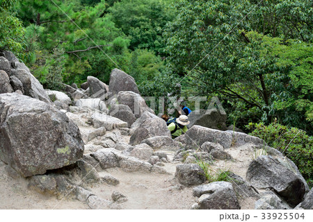 六甲山系芦屋ロックガーデン 六甲山系芦屋ロックガーデン 33925504