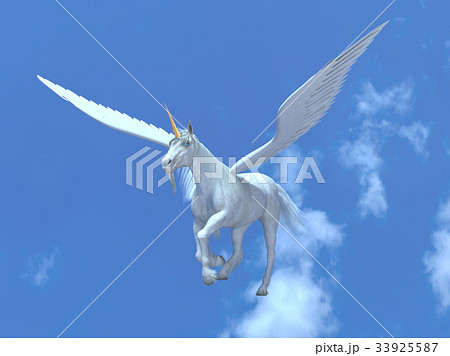 ペガサス ペガサス 33925587