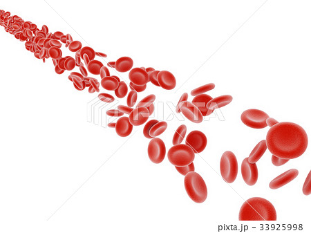 赤血球 33925998