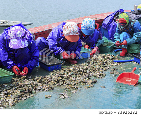 4 4 莞島郡 33926232