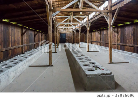 ビルケナウ ビルケナウ 33926696