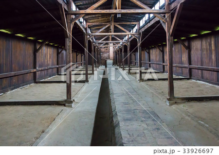 ビルケナウ 33926697