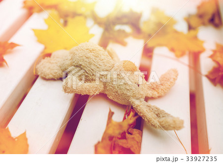 toy rabbit on bench in autumn park toy rabbit on bench in autumn park 33927235