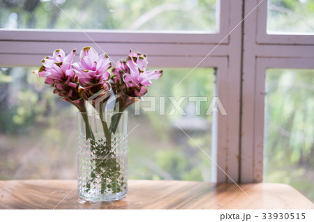 pink siam tulip flower in vase on wood table near window. decoration and interior pink siam tulip flower in vase on wood table near window. decoration and interior 33930515