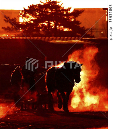 朝日を受けて早朝の調教 朝日を受けて早朝の調教 33935698