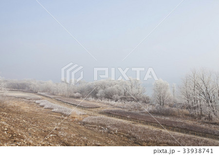 冬 霜 昭陽江 33938741