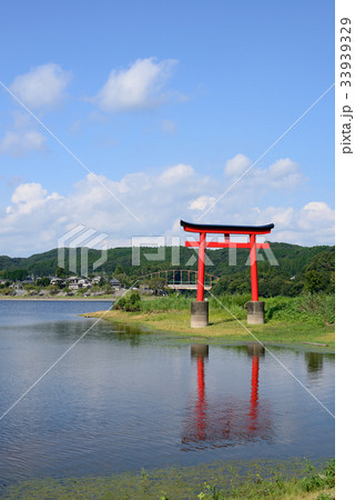 亀山ダムの鳥居　亀山湖　千葉県君津市 33939329