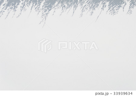 white blur background with flower silhouette above 33939634
