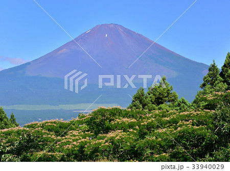 乙女駐車場からの富士山-778306 乙女駐車場からの富士山-778306 33940029