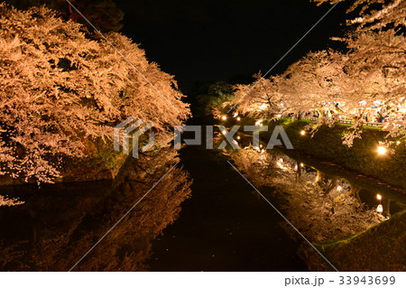 夜桜 33943699