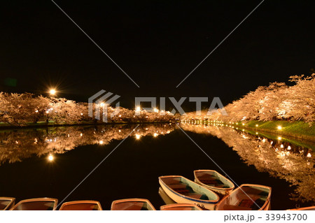 夜桜 33943700