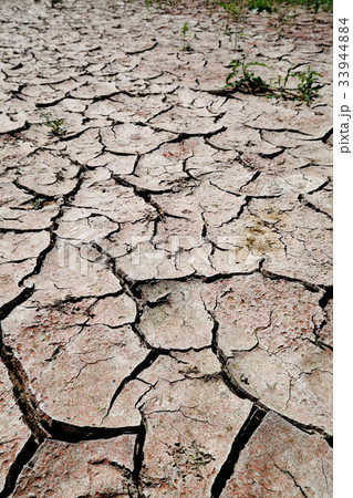ひび割れた大地 ひび割れた大地 33944884