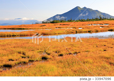 尾瀬・アヤメ平の草紅葉と燧ケ岳 尾瀬・アヤメ平の草紅葉と燧ケ岳 33947096
