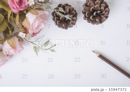 closeup pencil on calendar with rose flower.  33947372