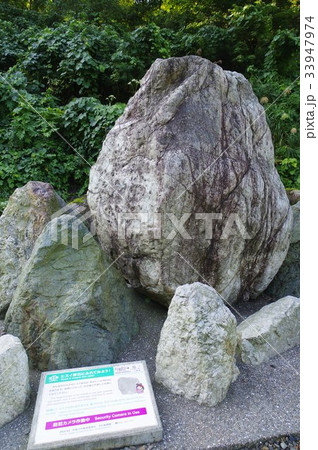 新潟　糸魚川の天然記念物「小滝川硬玉産地」　ジオサイト公園に展示されたひすいの原石 33947974