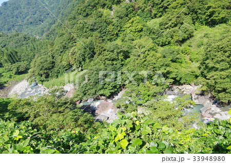 新潟　糸魚川の天然記念物「小滝川硬玉産地」　ヒスイのふるさと小滝川　糸魚川ジオサイト 33948980