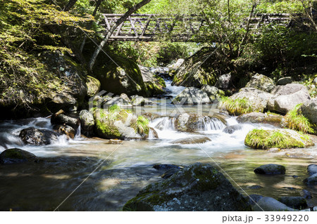 森林 吐竜の滝04 森林 吐竜の滝04 33949220