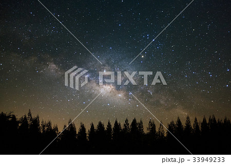 Beautiful milkyway and silhouette of pine tree 33949233