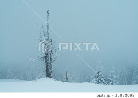 Fantastic winter landscape Fantastic winter landscape 33950098