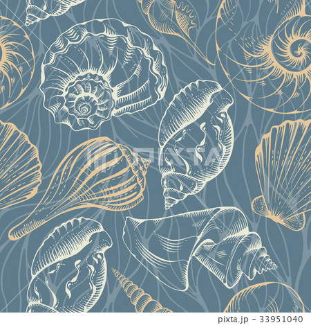 Shell seamless pattern Shell seamless pattern 33951040