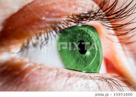 Green human eye Green human eye 33951600