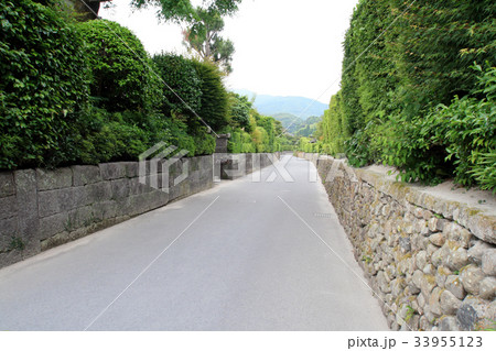 知覧武家屋敷群（佐多美舟邸～平山亮一邸） 33955123