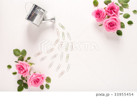 Watering can and pink rose blossoms 33955454