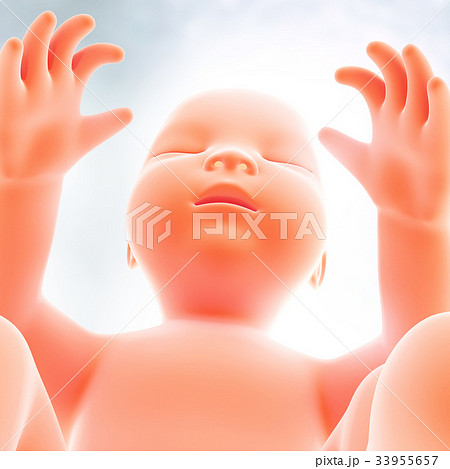 Human Fetus Medical and Scientific Background. 33955657
