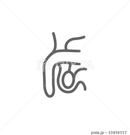 Simple male reproductive system, penis, scrotum 33956557