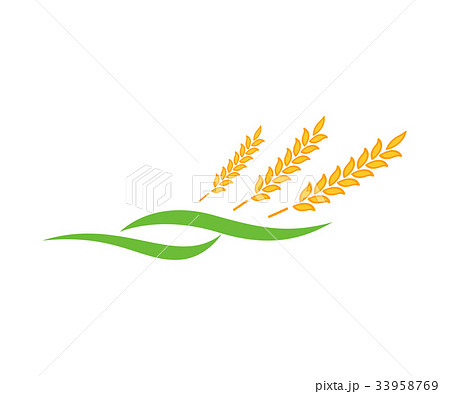 Agriculture wheat Logo Template vector icon design Agriculture wheat Logo Template vector icon design 33958769