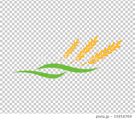 Agriculture wheat Logo Template vector icon design Agriculture wheat Logo Template vector icon design 33958769