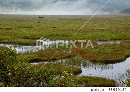 初秋の八島湿原の風景 初秋の八島湿原の風景 33959182