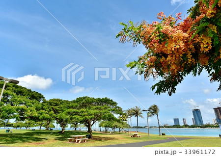 ハワイの休日 ハワイの休日 33961172