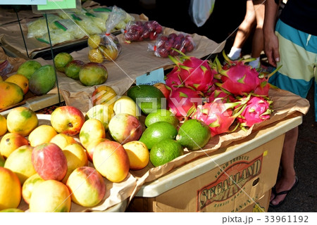 ハワイの休日 ハワイの休日 33961192