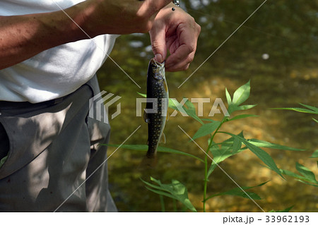 釣り 釣り 33962193
