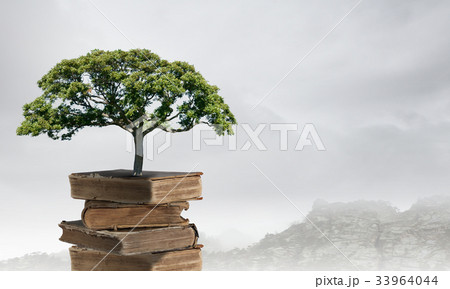 Reading develops imagination 33964044