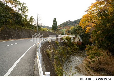 志駒川渓谷 千葉県富津市 もみじロード 志駒川渓谷 千葉県富津市 もみじロード 33964978