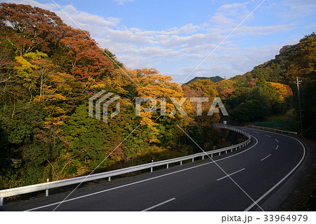 志駒川渓谷 千葉県富津市 もみじロード 志駒川渓谷 千葉県富津市 もみじロード 33964979