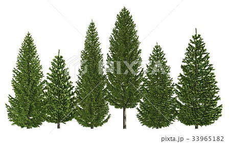 Group of trees isolated on white 3d illustration Group of trees isolated on white 3d illustration 33965182