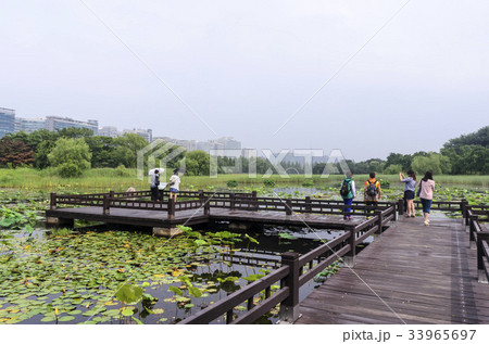 京畿道 キョンギド 高陽市 33965697
