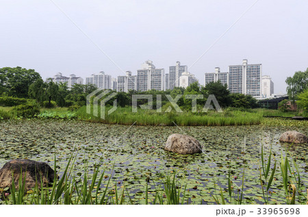 京畿道 キョンギド 高陽市 33965698