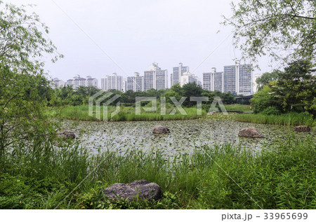 京畿道 キョンギド 高陽市 33965699