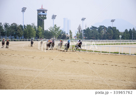 京畿道 キョンギド 競馬 33965762