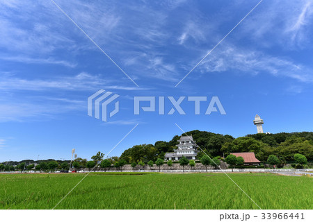 【愛知県】収穫前の稲穂と城山公園 33966441