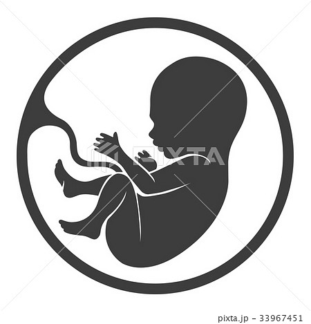 Prenatal human child with placenta silhouette 33967451