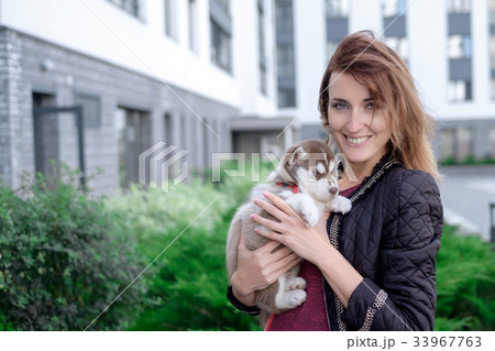 Little pretty husky puppy outdoor in womans hands Little pretty husky puppy outdoor in womans hands 33967763