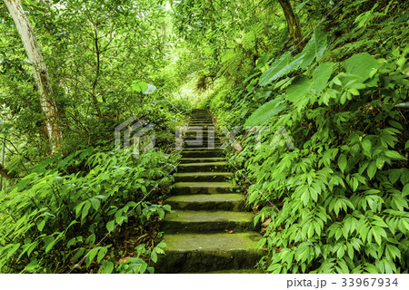 Stone stair in green forest Stone stair in green forest 33967934